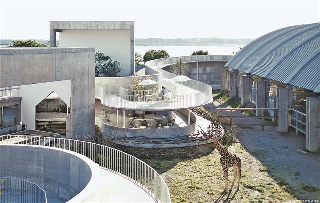 　　　　　　　　　　　霞ケ浦どうぶつとみんなのいえ　　　　（＠高橋一平建築事務所）