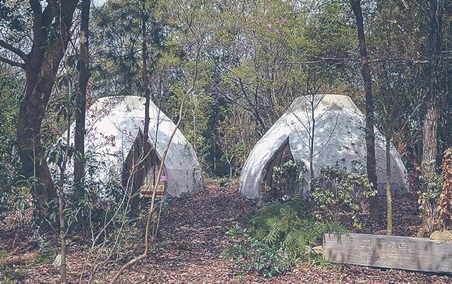 移設した「森になる建築」