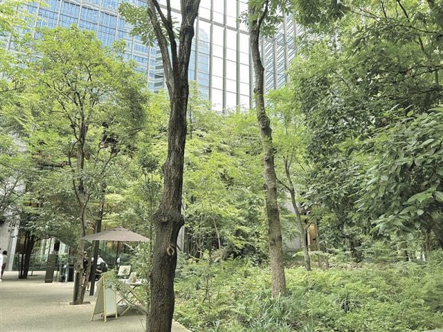 「大手町タワー」のふもとに広がる約３６００㎡の“森”