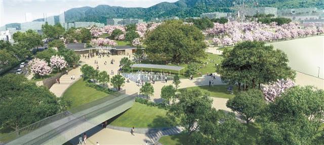 緑の広場イメージ