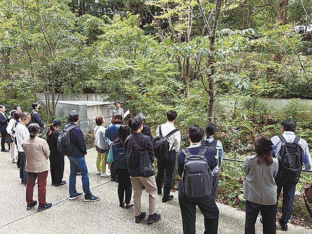 ２１人が参加し、都心の緑に触れた